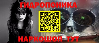 стаф Будённовск