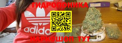 стаф Будённовск