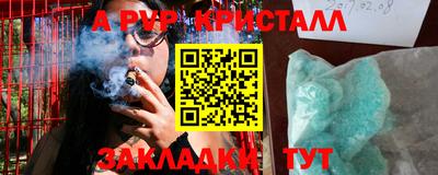 стаф Будённовск