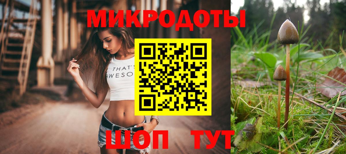 Галлюциногенные грибы MAGIC MUSHROOMS Северобайкальск