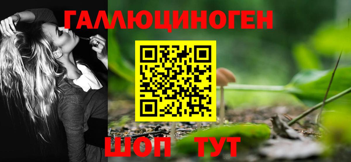 Северобайкальск  Галлюциногенные грибы Psilocybine cubensis  Вход с VPN  Галлюциногенные грибы Magic Shrooms 